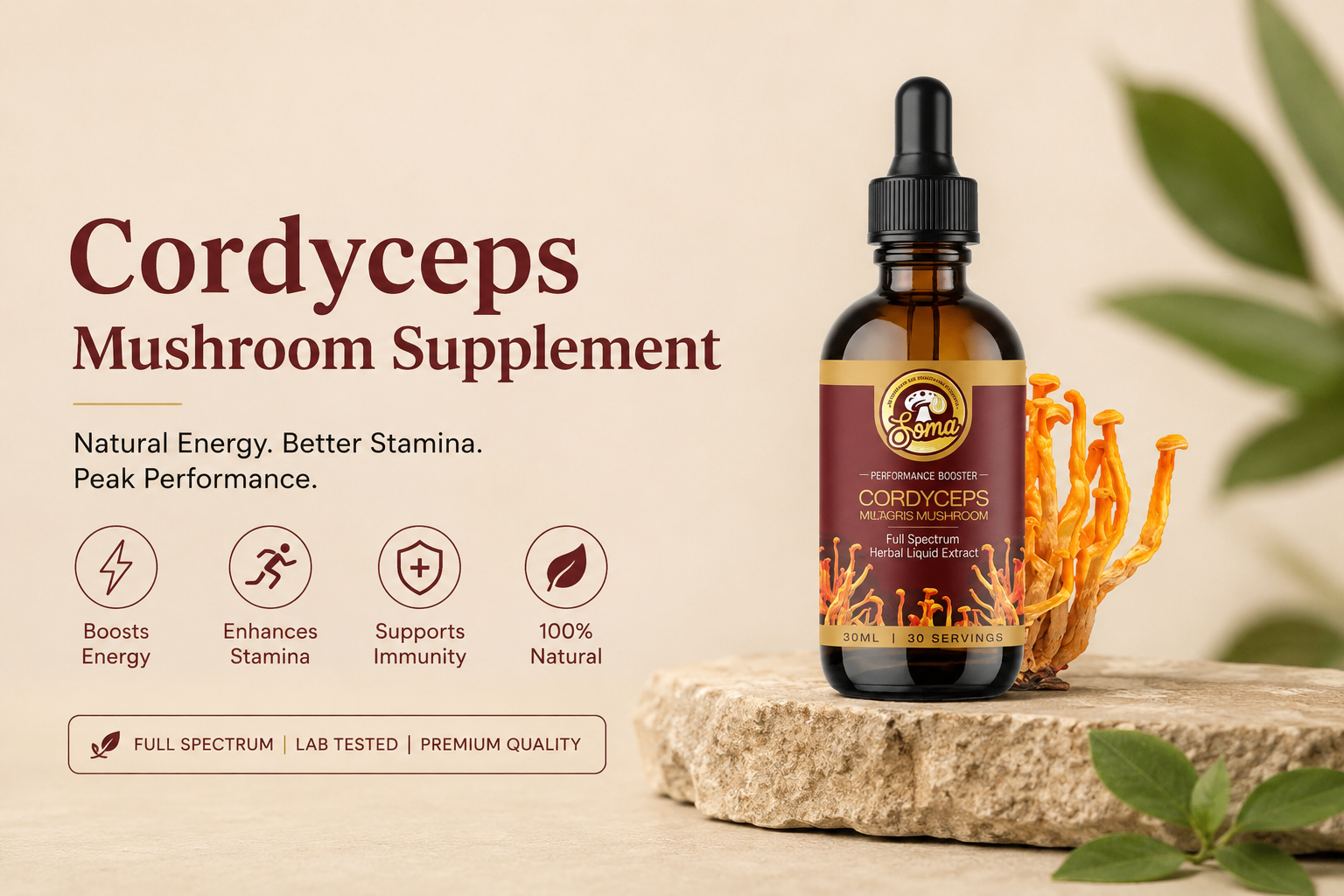 Cordyceps Mushroom Supplement