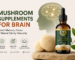 Mushroom Supplements for Brain
