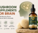 Mushroom Supplements for Brain