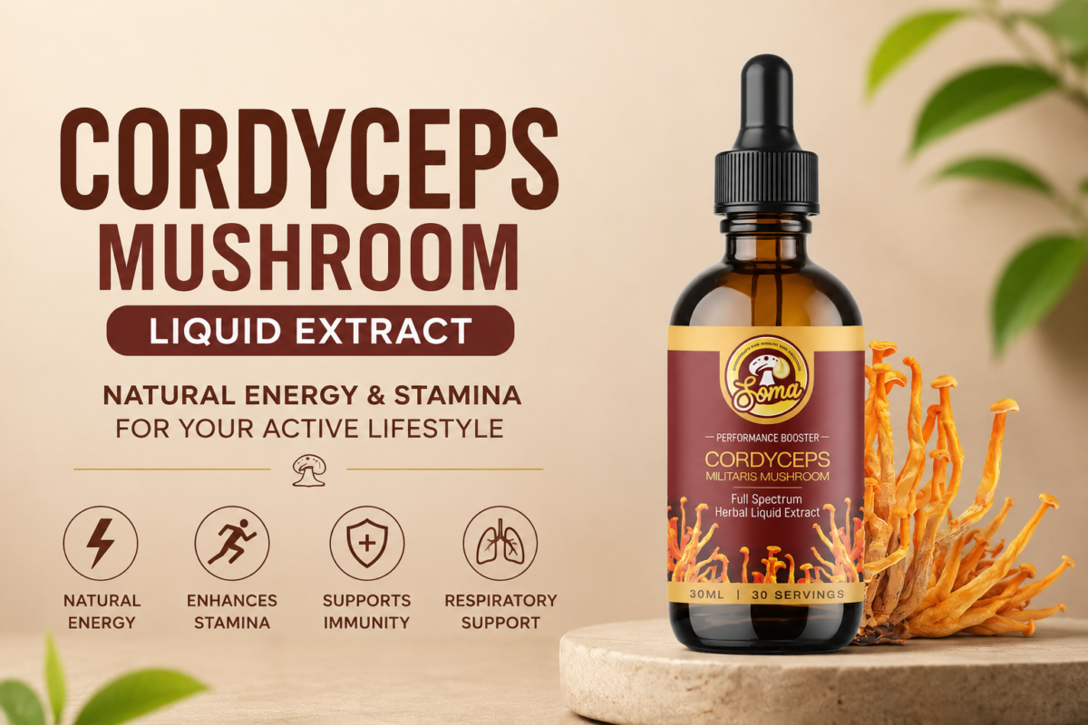 Best Cordyceps Mushroom Liquid Extract