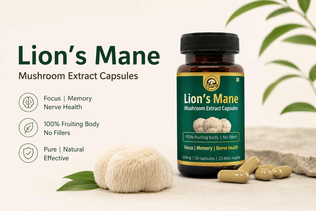 Lion’s Mane Capsules