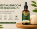 Best Mushroom for Brain Health