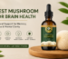 Best Mushroom for Brain Health