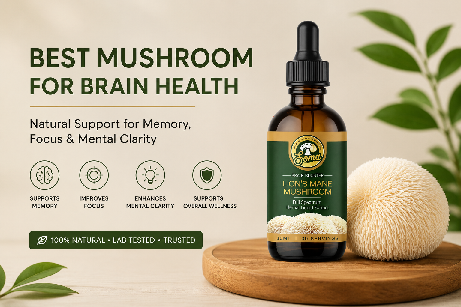 Best Mushroom for Brain Health