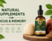 Natural Supplements for Focus and Memory