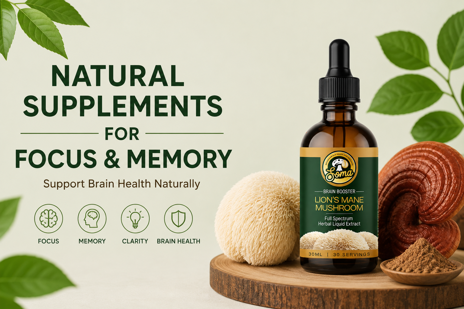 Natural Supplements for Focus and Memory