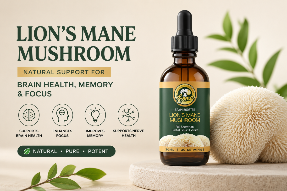 Lion's Mane Mushroom Supplement Benefits