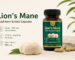 Lion’s Mane Capsules