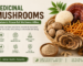Medicinal Mushrooms