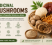 Medicinal Mushrooms