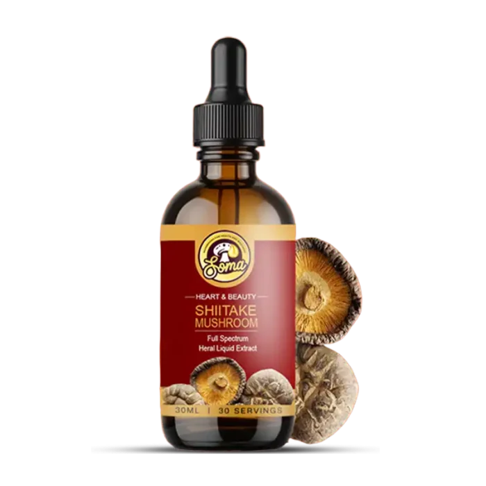 Medicinal Mushrooms