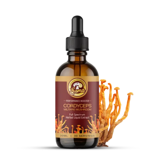 Functional Mushroom Supplements for Daily Health