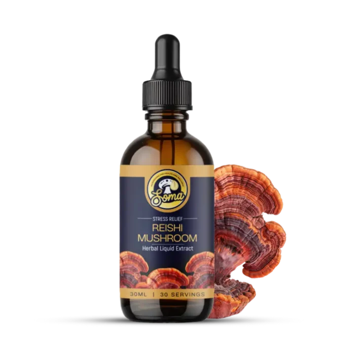 Functional Mushroom Supplements for Daily Health