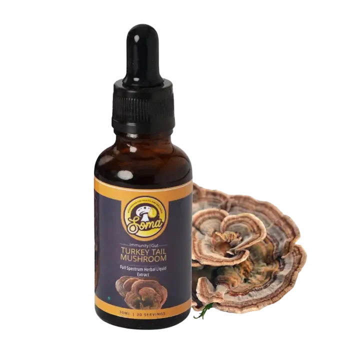 Mushroom Supplements